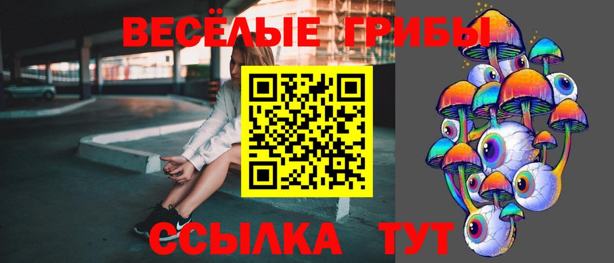 Рязань  Псилоцибиновые грибы GOLDEN TEACHER  купить наркотик  Вход с VPN 